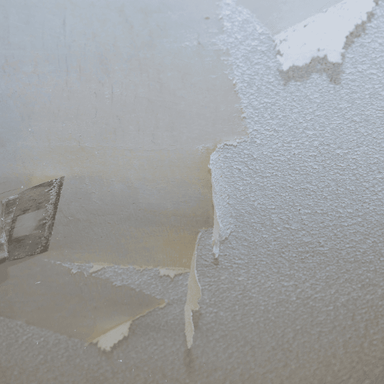 popcorn removal in Seattle