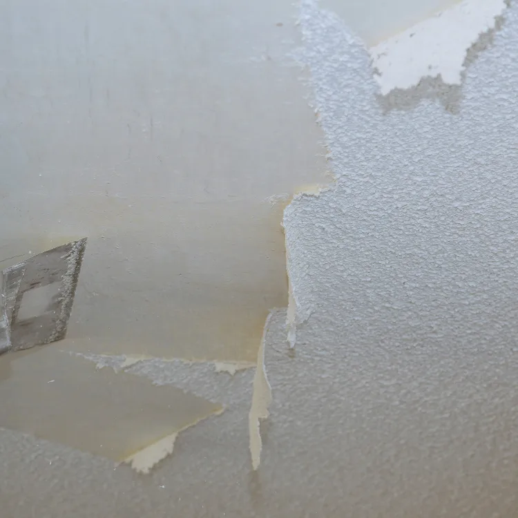 popcorn removal in Seattle